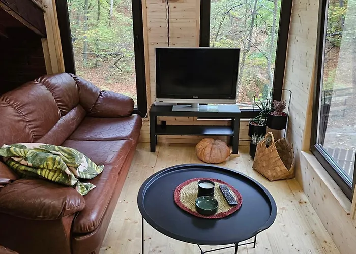 Apartment With 2 Bedrooms - Magic Woods Zaychari photo